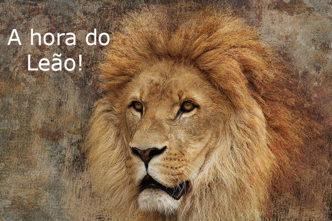 dúvidas sobre imposto de renda 20163